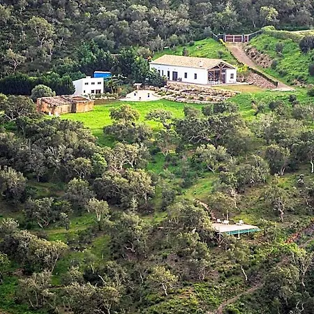 بيت خشبي Salthouse Portugal Ocean View West ألخيزور